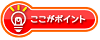 ここがポイント