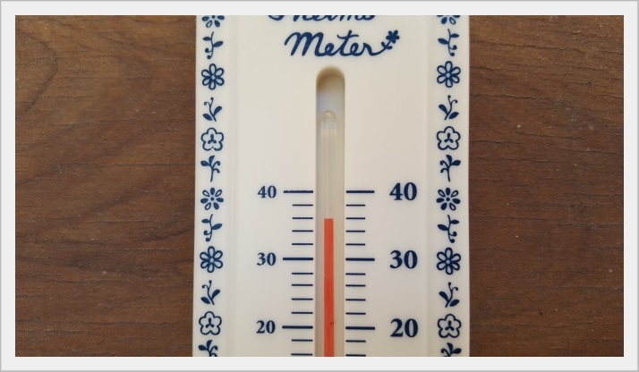 温度計で気温を計ってみる